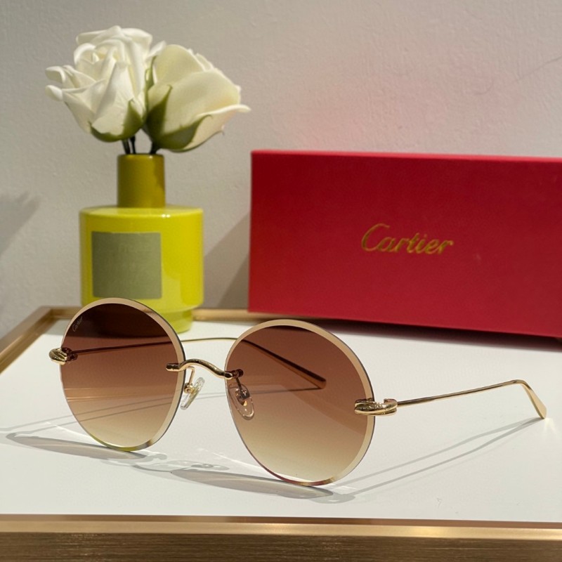 Cartier Glasses 08smh11 (4)