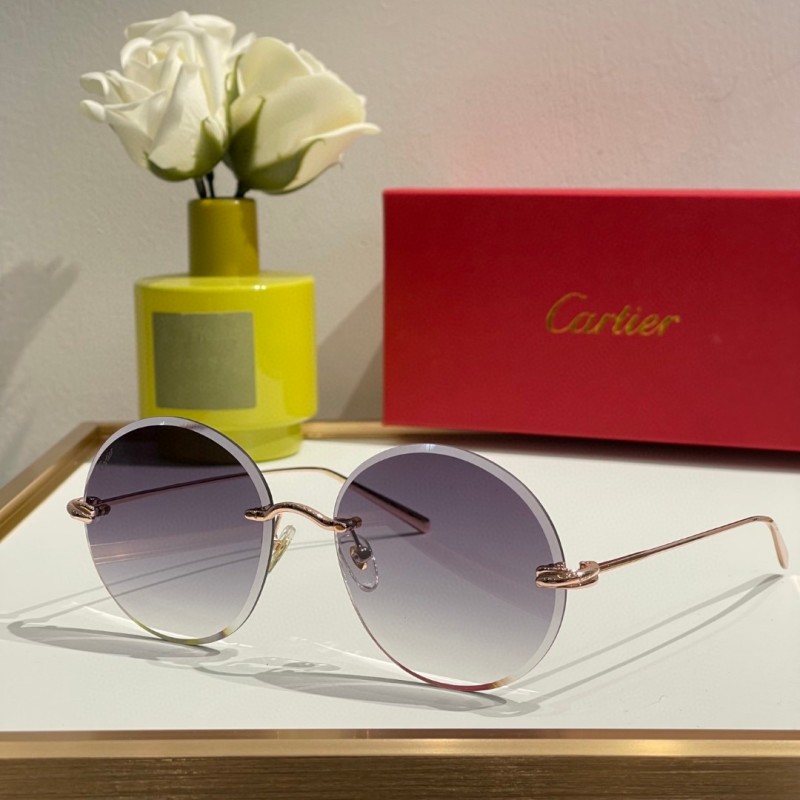 Cartier Glasses 08smh11 (7)