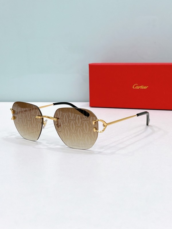 Cartier Glasses 08smh111 (2)