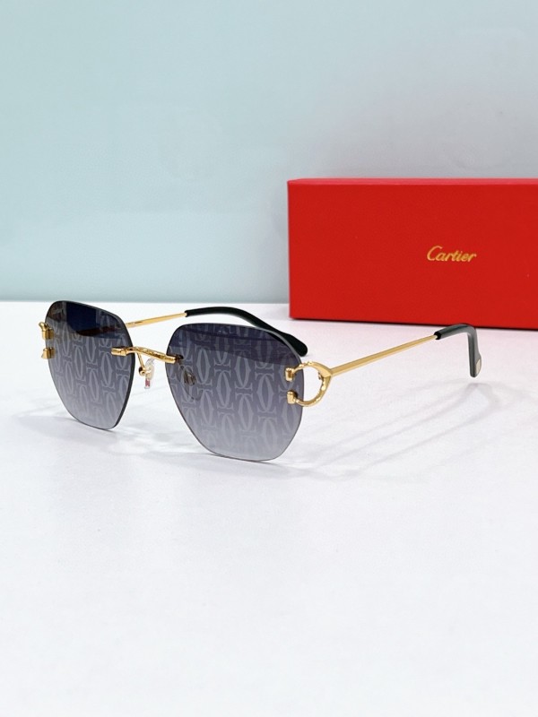 Cartier Glasses 08smh111 (5)
