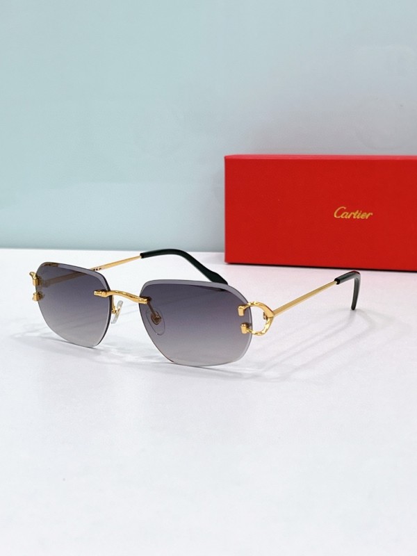 Cartier Glasses 08smh112 (2)