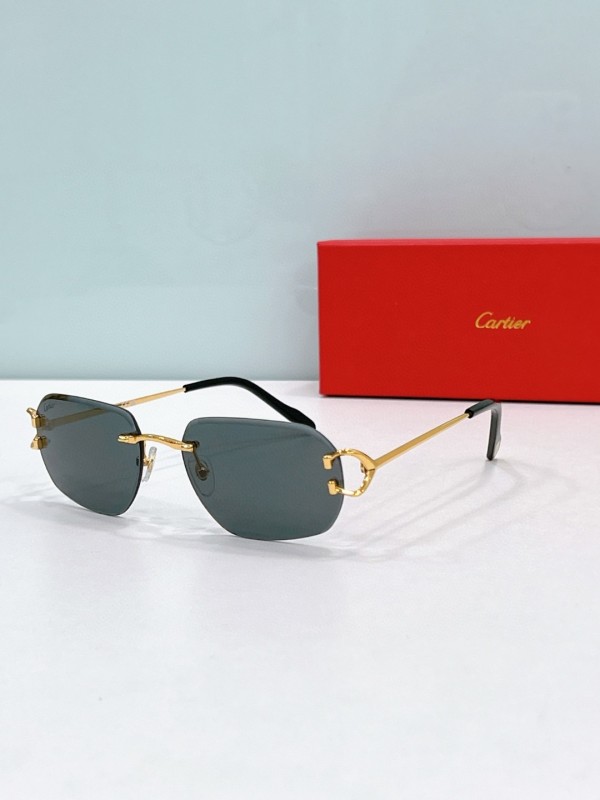 Cartier Glasses 08smh112 (3)