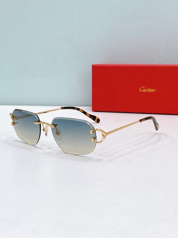 Cartier Glasses 08smh112 (4)