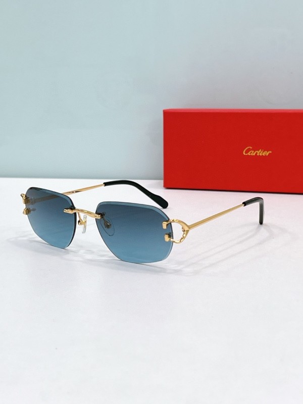 Cartier Glasses 08smh112 (7)