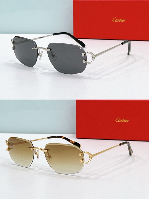 Cartier Glasses 08smh112 (9)