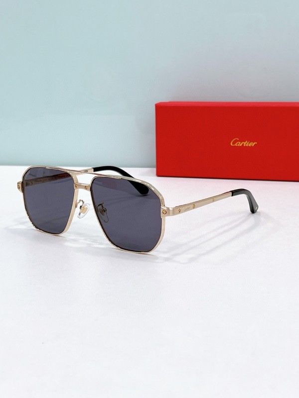 Cartier Glasses 08smh113 (2)