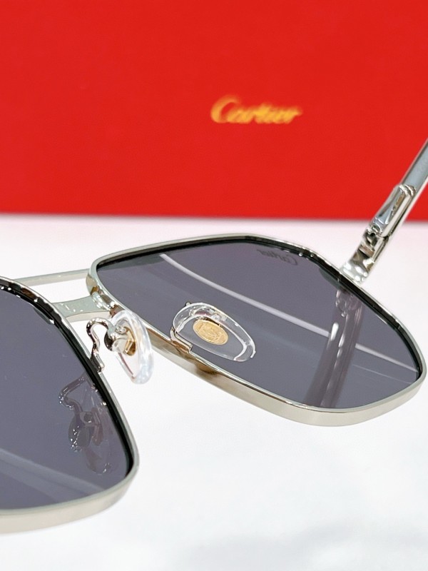 Cartier Glasses 08smh113 (6)