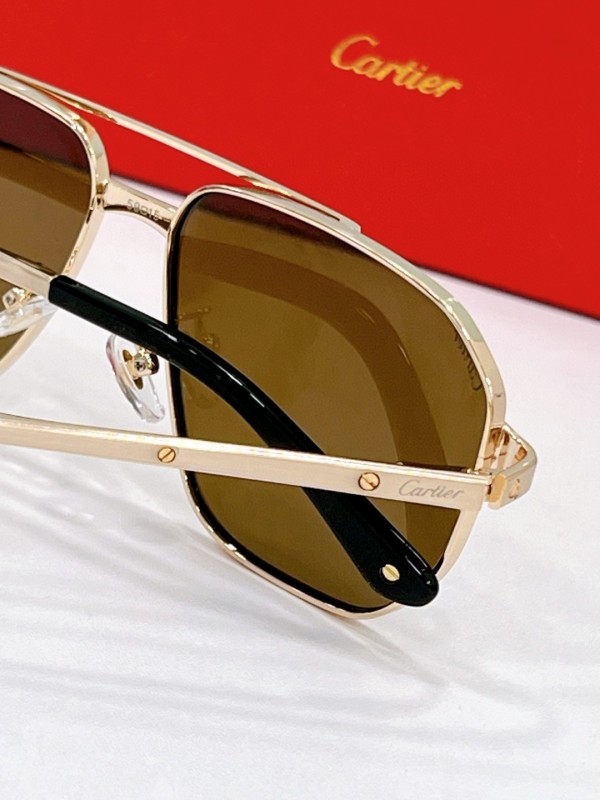Cartier Glasses 08smh113 (7)