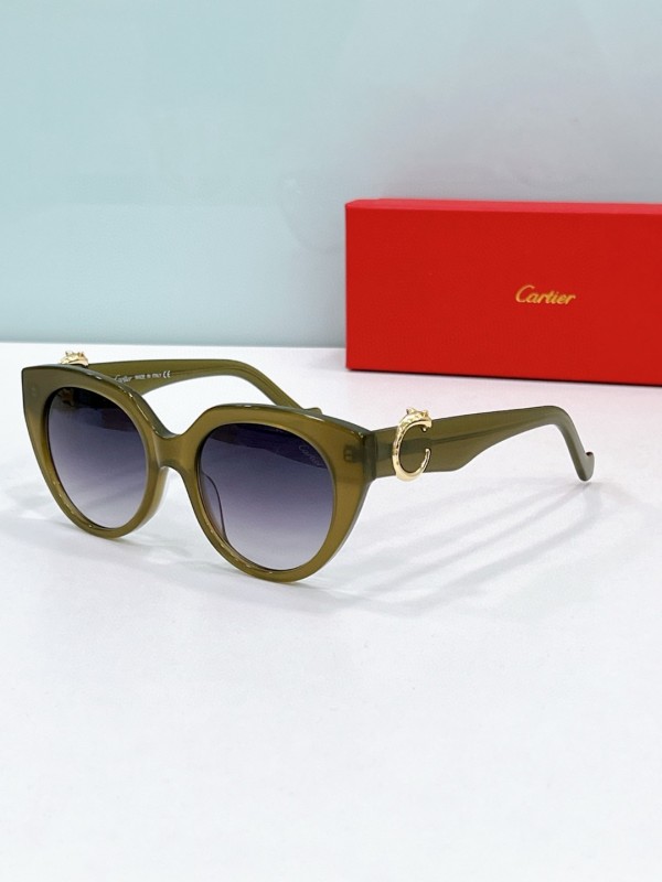 Cartier Glasses 08smh114 (1)