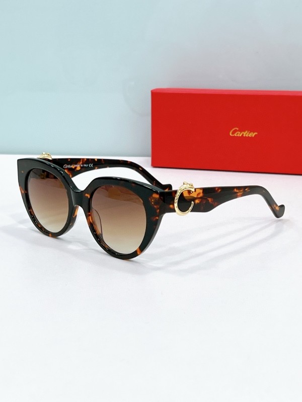 Cartier Glasses 08smh114 (3)