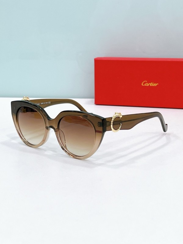 Cartier Glasses 08smh114 (5)