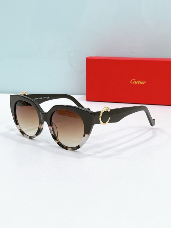 Cartier Glasses 08smh114 (8)