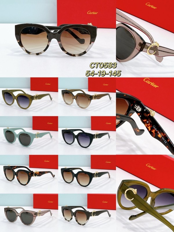 Cartier Glasses 08smh114 (9)