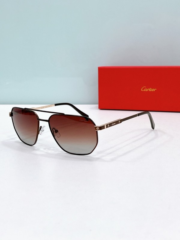 Cartier Glasses 08smh115 (3)