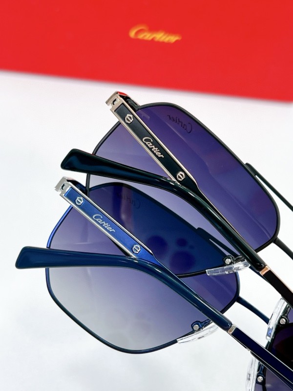 Cartier Glasses 08smh115 (6)