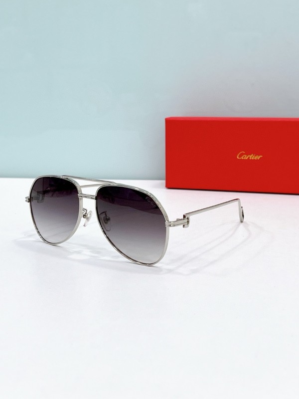 Cartier Glasses 08smh116 (6)