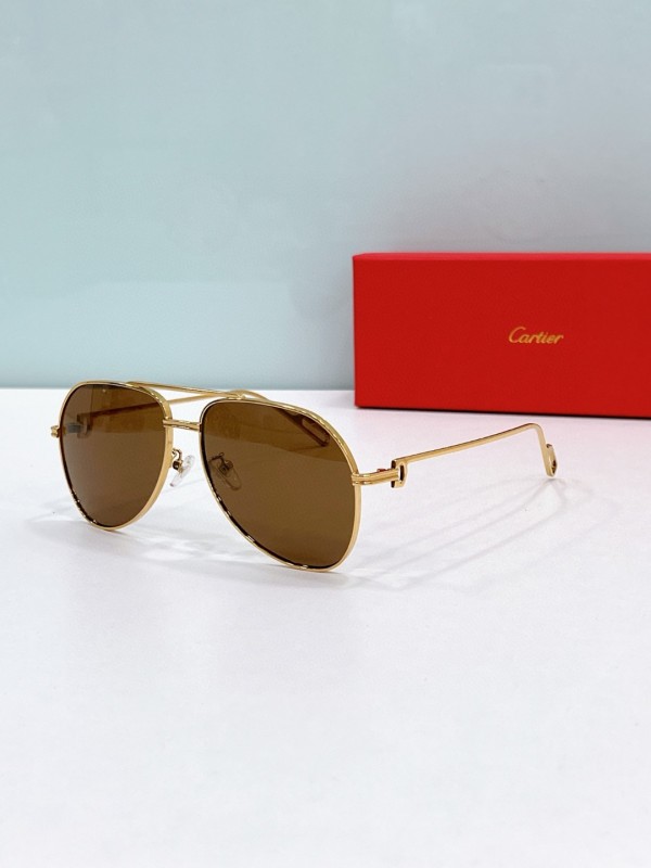 Cartier Glasses 08smh116 (8)