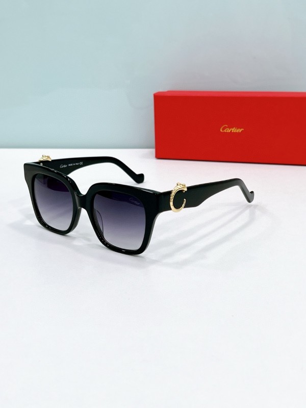 Cartier Glasses 08smh117 (1)