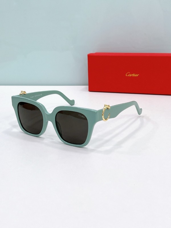 Cartier Glasses 08smh117 (2)