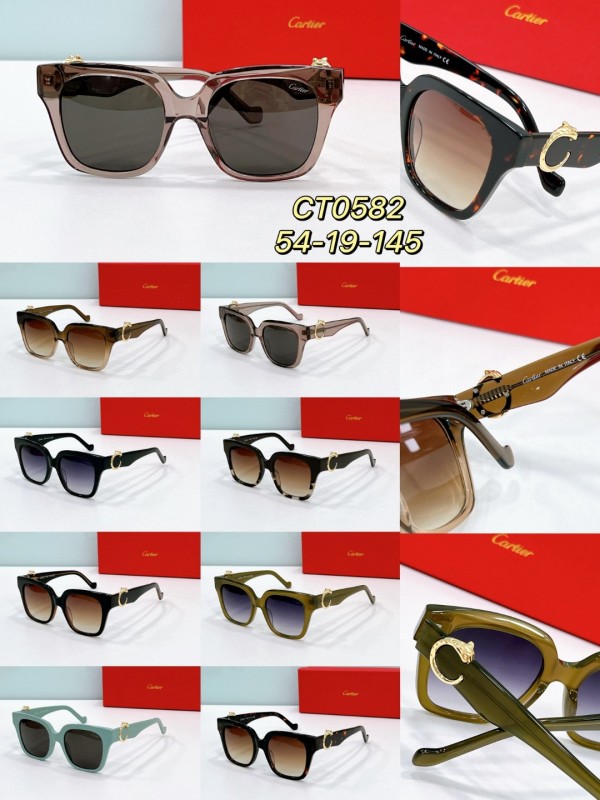 Cartier Glasses 08smh117 (9)