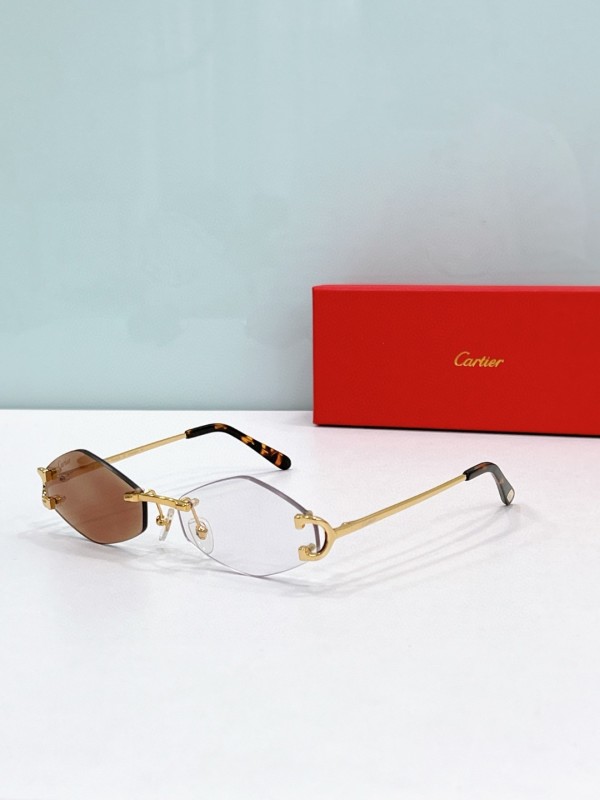 Cartier Glasses 08smh118 (11)