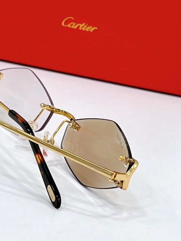 Cartier Glasses 08smh118 (13)