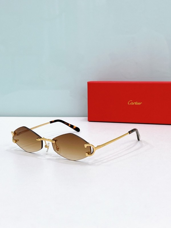 Cartier Glasses 08smh118 (3)