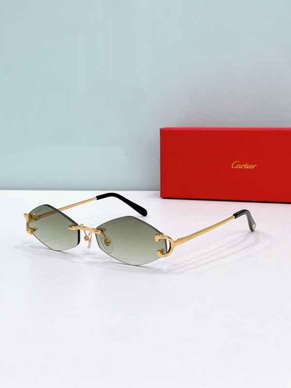 Cartier Glasses 08smh118 (4)