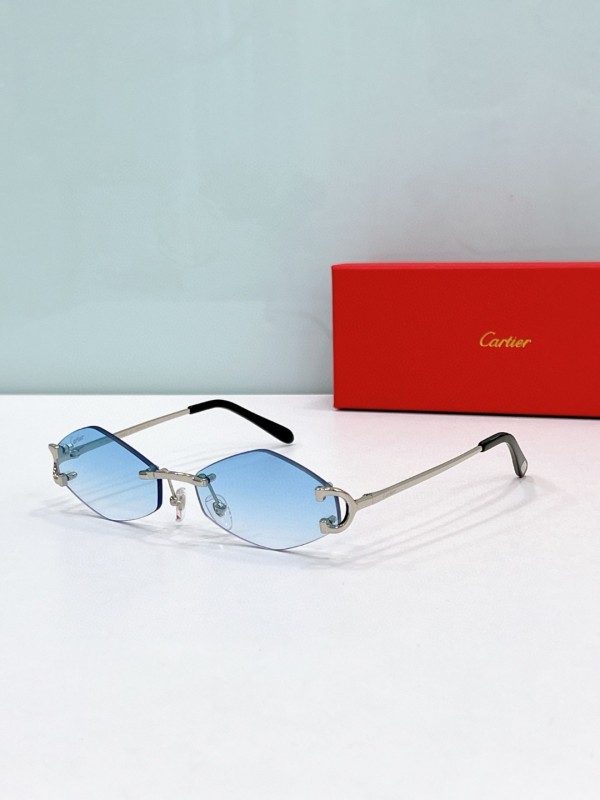 Cartier Glasses 08smh118 (6)