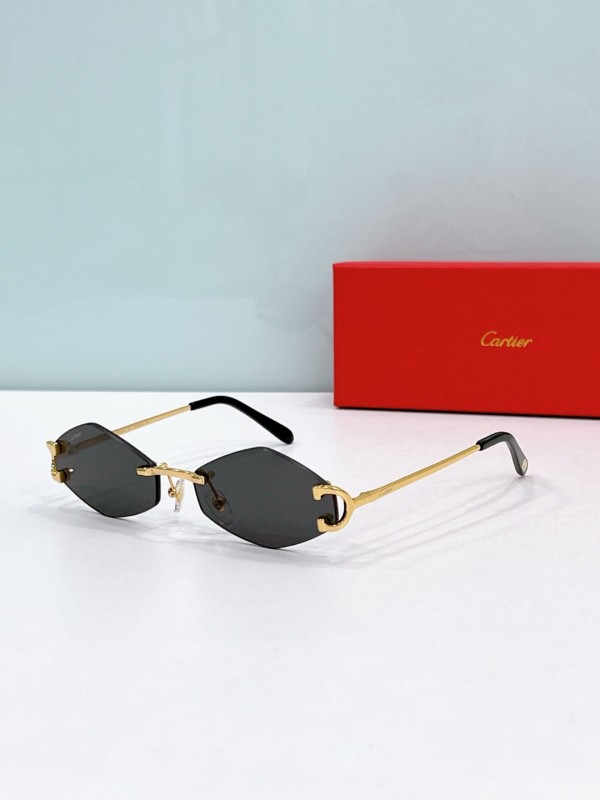 Cartier Glasses 08smh118 (7)