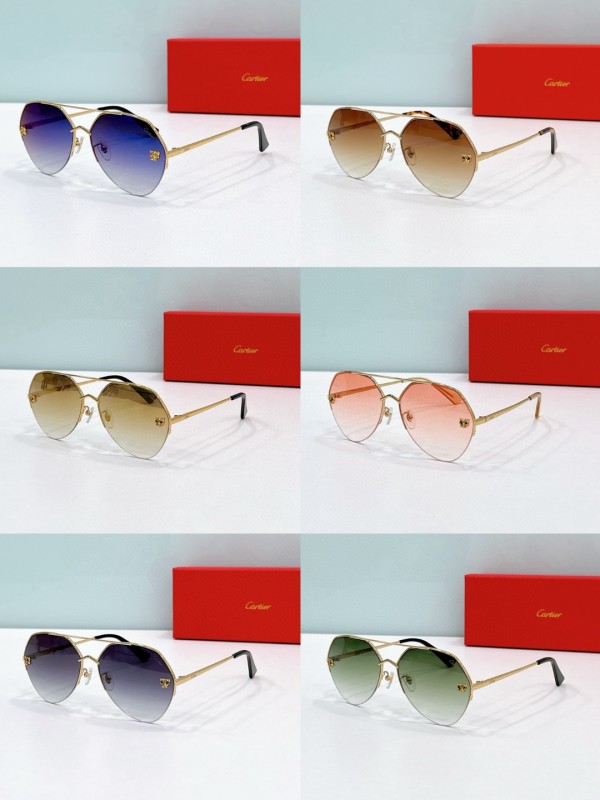 Cartier Glasses 08smh119 (10)