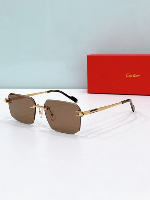 Cartier Glasses 08smh119 (3)