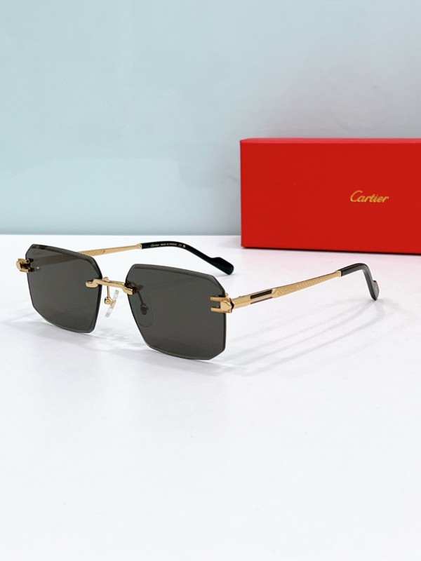 Cartier Glasses 08smh119 (4)