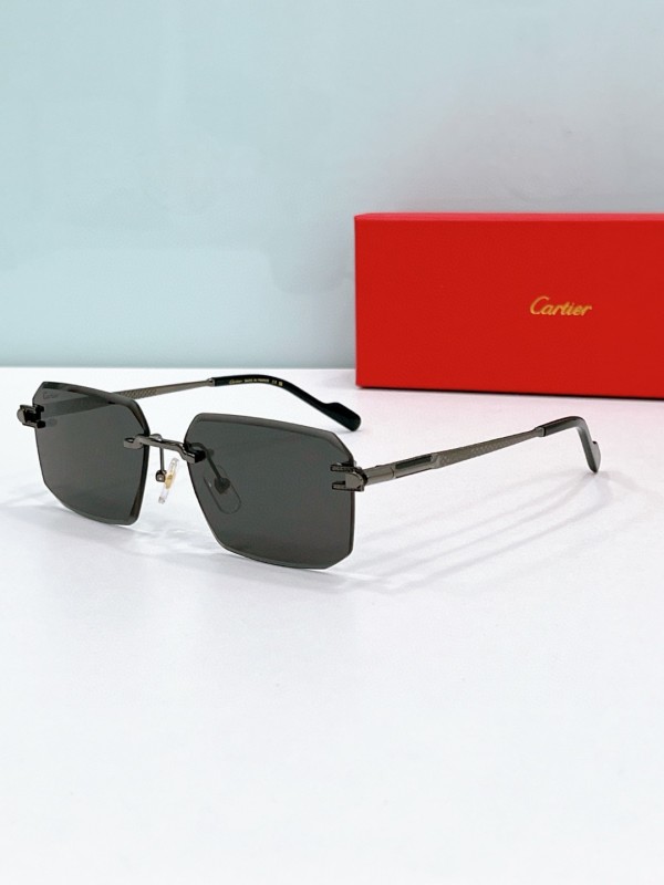 Cartier Glasses 08smh119 (5)