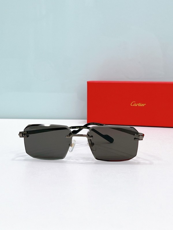 Cartier Glasses 08smh119 (6)