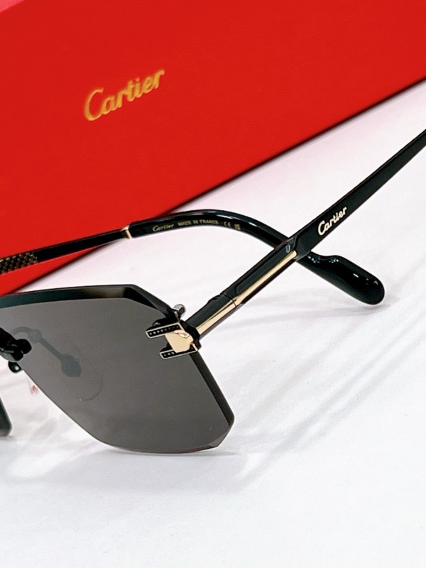 Cartier Glasses 08smh119 (7)