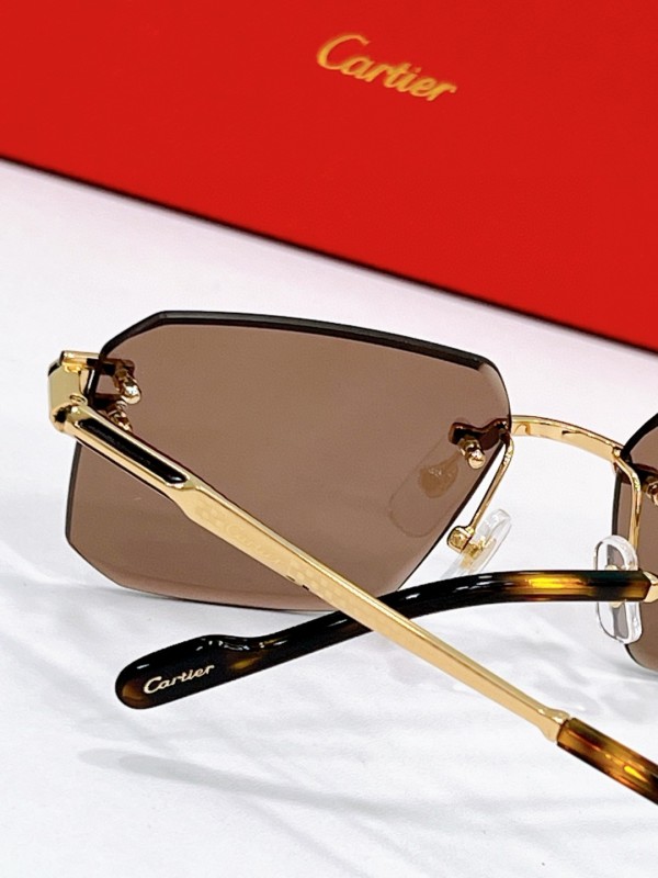 Cartier Glasses 08smh119 (9)