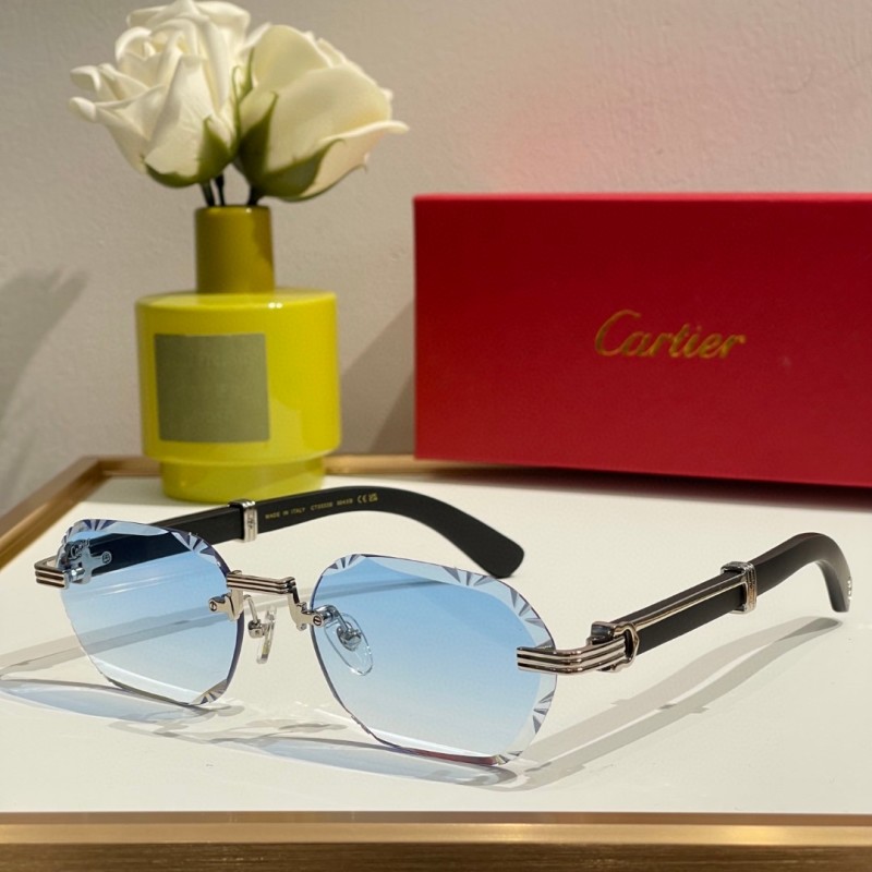 Cartier Glasses 08smh12 (4)