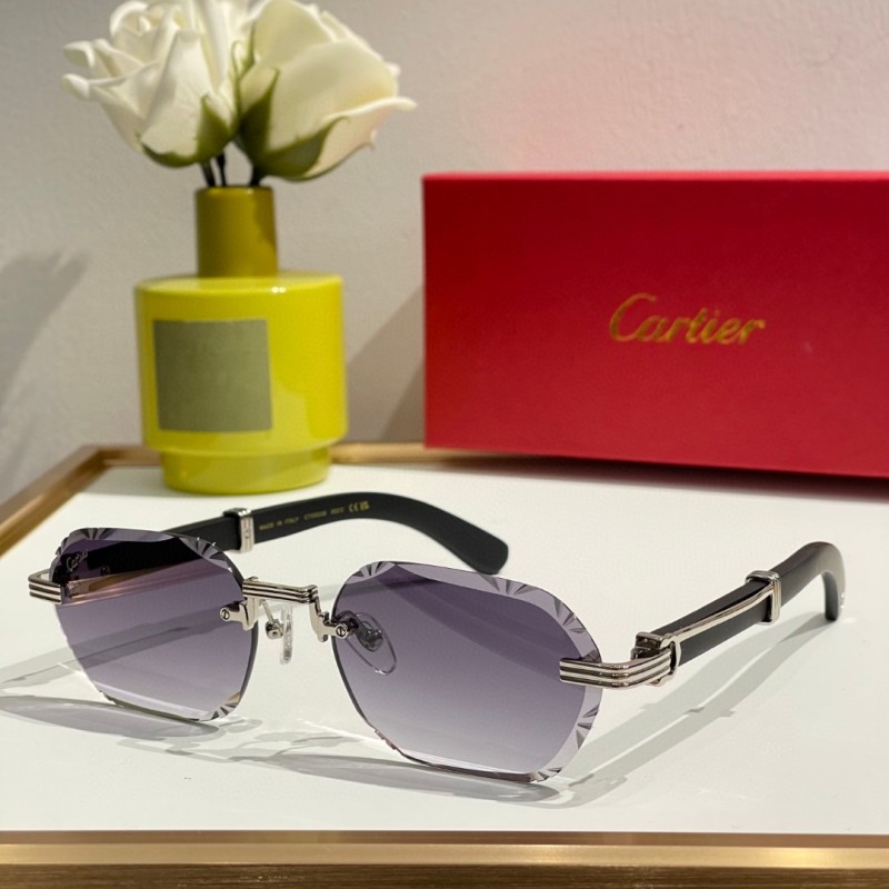 Cartier Glasses 08smh12 (6)