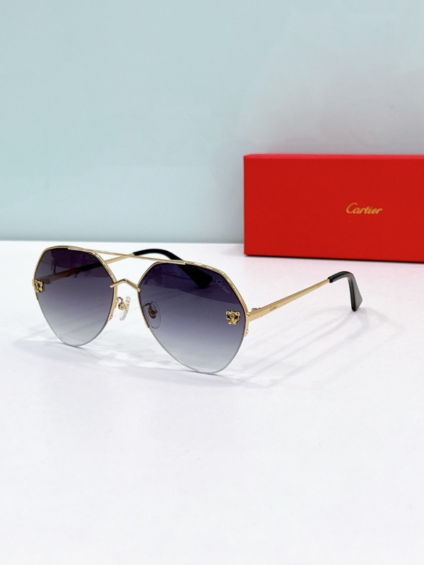 Cartier Glasses 08smh120 (5)