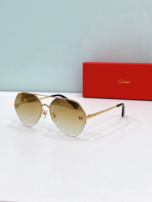 Cartier Glasses 08smh120 (6)