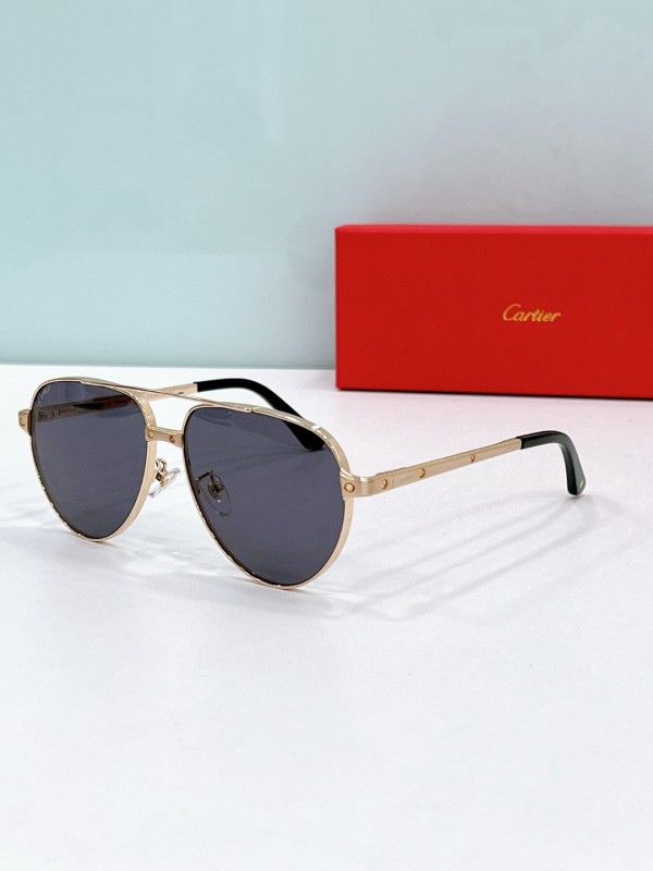 Cartier Glasses 08smh121 (1)