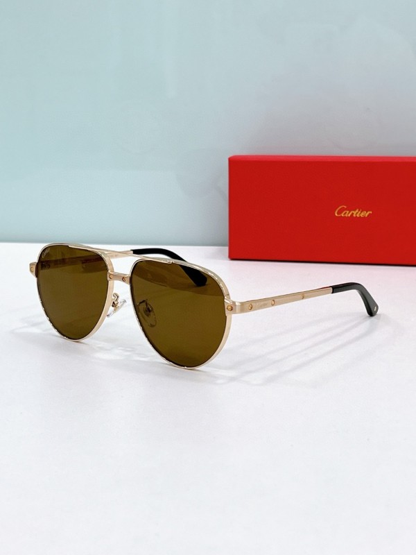 Cartier Glasses 08smh121 (4)