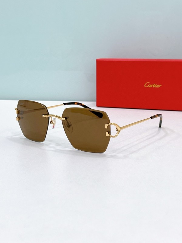 Cartier Glasses 08smh122 (1)