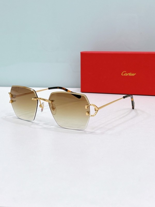 Cartier Glasses 08smh122 (2)