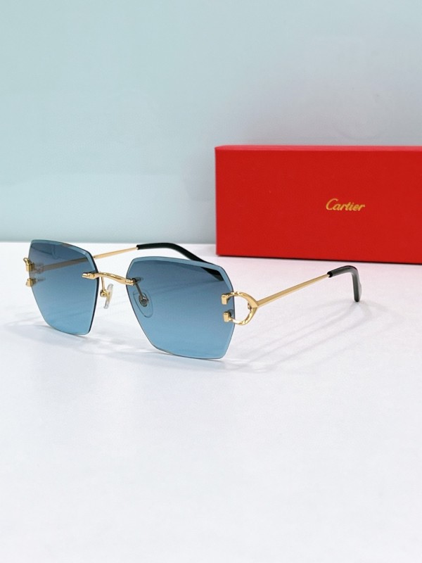 Cartier Glasses 08smh122 (4)