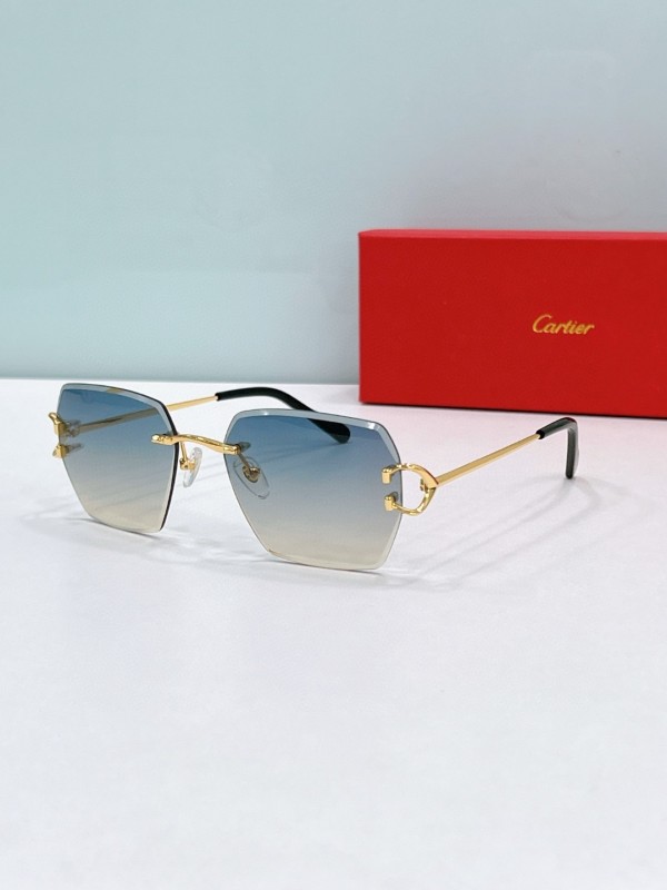 Cartier Glasses 08smh122 (6)