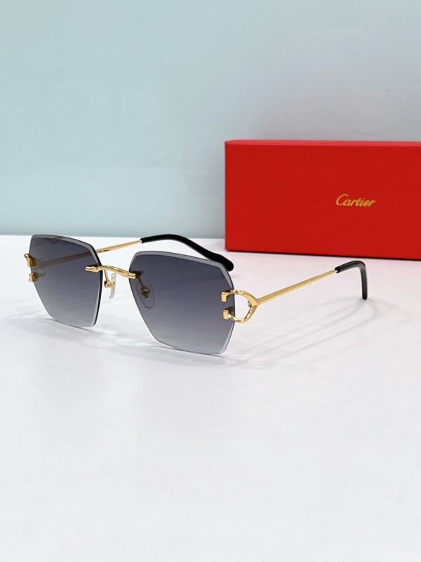 Cartier Glasses 08smh122 (7)