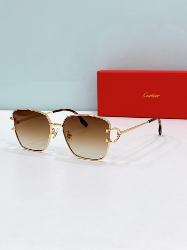 Cartier Glasses 08smh124 (4)