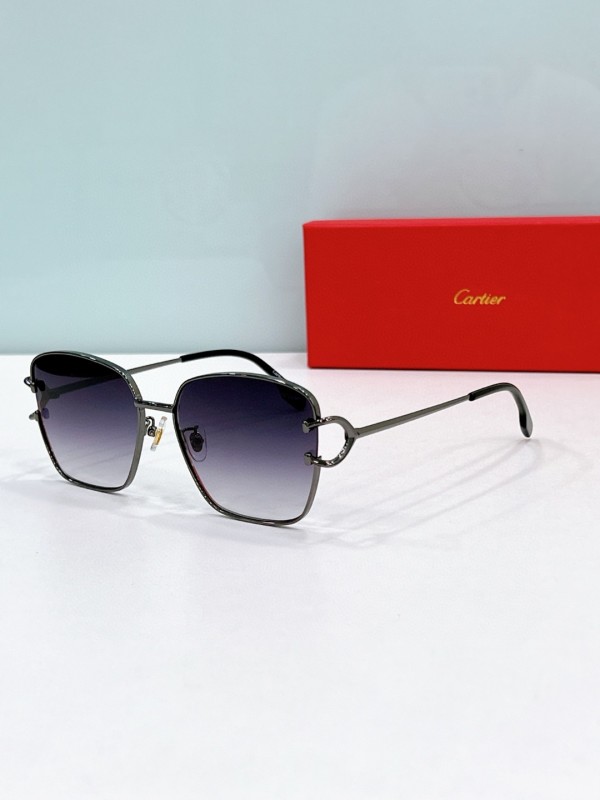 Cartier Glasses 08smh124 (5)